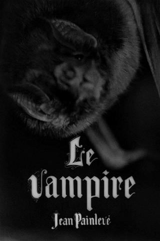 Der Vampir poster