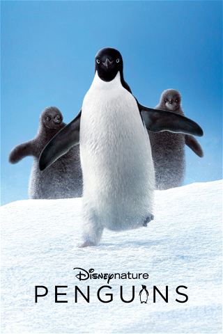 Los pingüinos poster