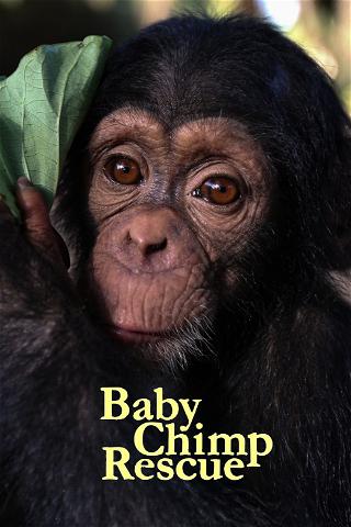 Turvapaikka simpansseille poster