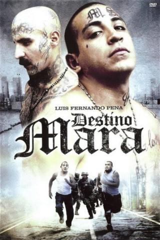 Destino Mara poster