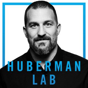 Huberman Lab poster