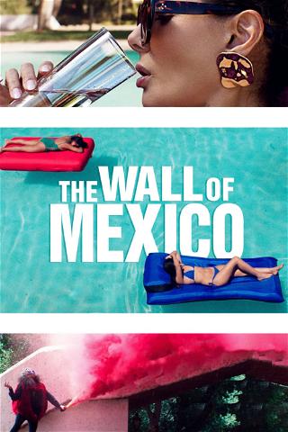 The Wall of Mexico poster