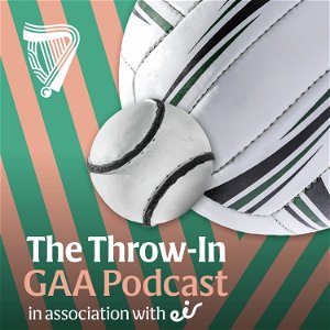 The Throw-In poster