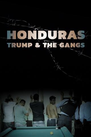 Honduras, Trump and the Gangs poster