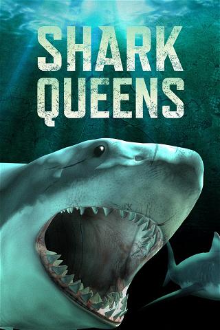 Shark Queens poster