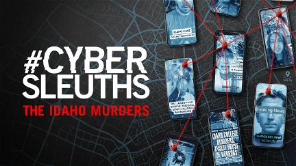 #Cybersleuths: The Idaho Murders poster