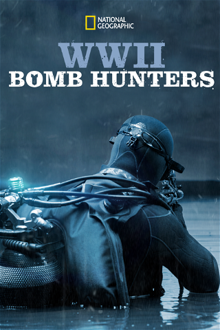 Wwii Bomb Hunters poster