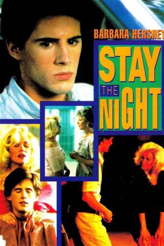 Stay the Night poster
