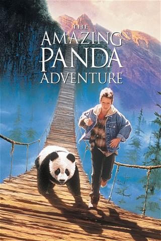 Aktion Panda poster