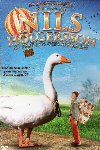 Le merveilleux voyage de Nils Holgersson au pays des oies sauvages poster