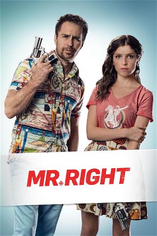 Mr. Right (2015) poster