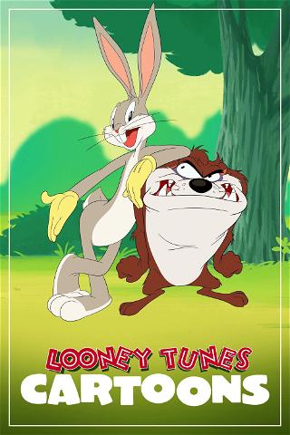 Looney Tunes Cartoons poster