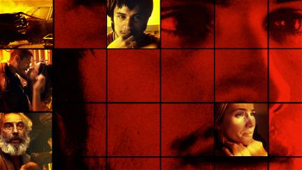 Amores Perros – Hundeliebe poster
