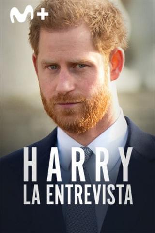 Harry: la entrevista poster