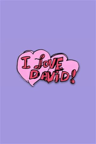I Love David! poster