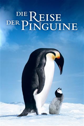 Die Reise der Pinguine poster