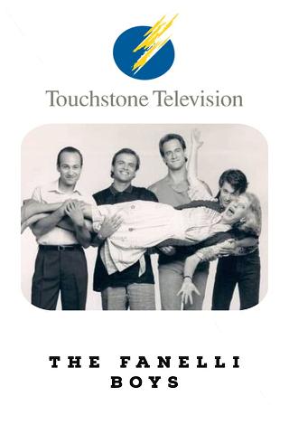 The Fanelli Boys poster