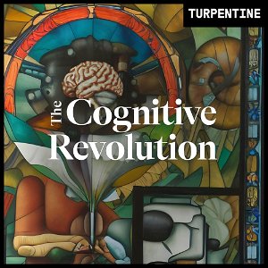 "The Cognitive Revolution" | AI Builders, Researchers, and Live Player Analysis poster