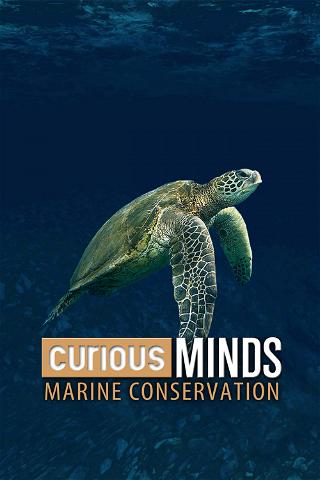 Curious Minds: Marine Conservation poster