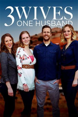 Three Wives, One Husband poster