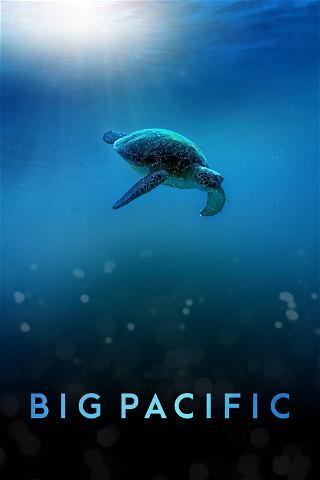 Big Pacific poster