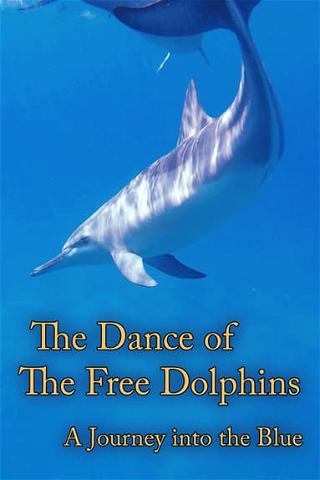 The Dance of the Free Dolphins: A Journey Into the Blue poster