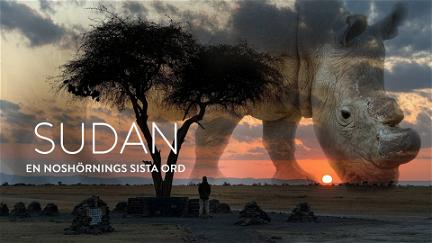 Sudan - en noshörnings sista ord - syntolkat poster
