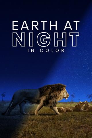 Ziemia w nocnych barwach poster