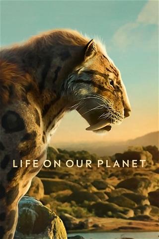 La vita sul nostro pianeta poster
