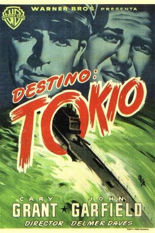 Destino Tokio poster