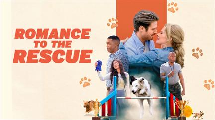 Romance to the Rescue poster