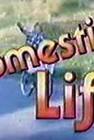 Domestic Life poster