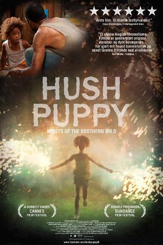 Hushpuppy poster