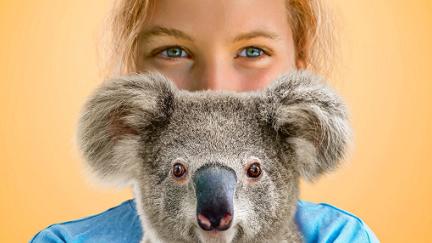 Izzy og koalaerne poster