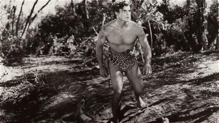 Tarzan: Silver Screen King of the Jungle poster