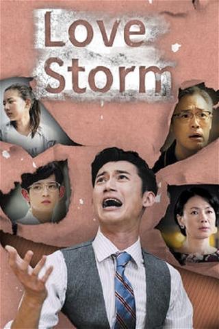 Love Storm poster