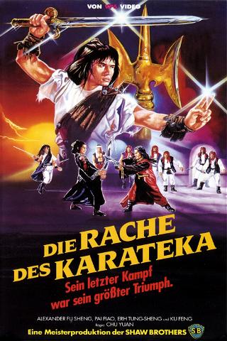Die Rache des Karateka poster