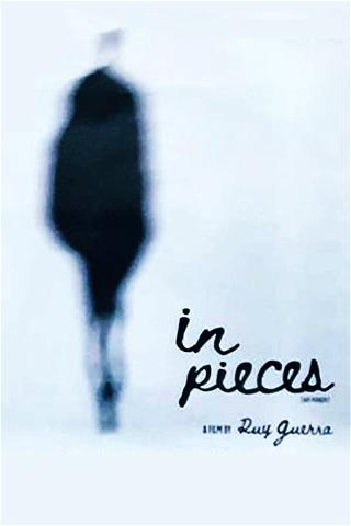 In Pieces poster