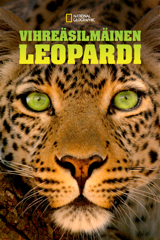 Vihreäsilmäinen leopardi poster