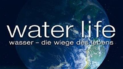 Water Life poster