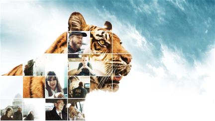 Tiger im Garten - Tierschutz-Fake in den USA poster