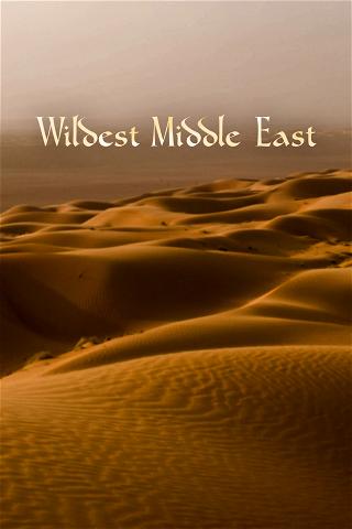 Wildest Middle East poster