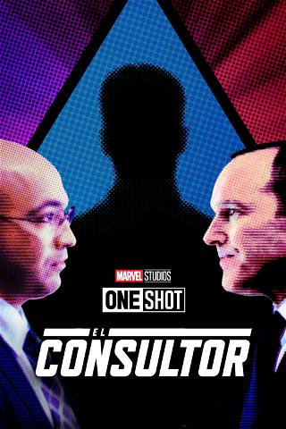 Marvel de un vistazo: El consultor poster