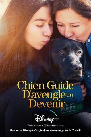 Chien Guide D'aveugle en Devenir poster