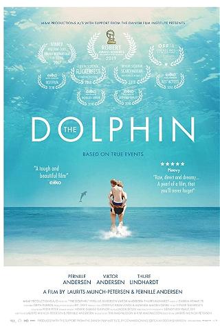 Delfinen poster