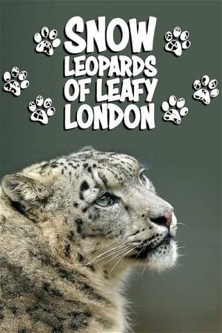Snow Leopards of Leafy London poster