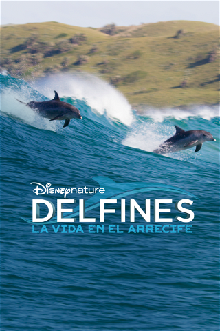 Delfines: La vida en el arrecife poster