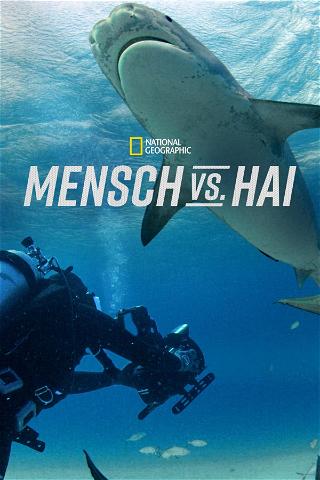 Mensch vs. Hai poster