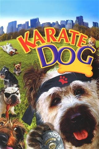 Karate Dog poster