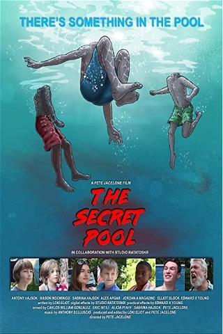 The Secret Pool poster